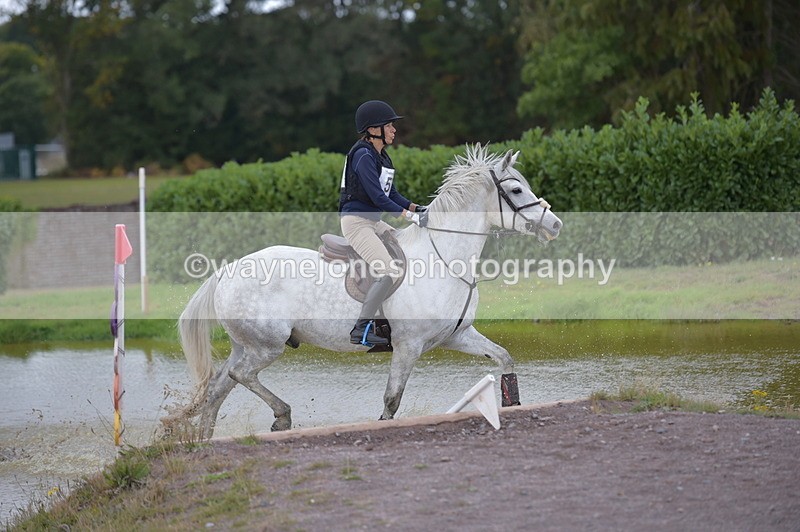 NGP_2275 - XC Time 11:20 to 11:36