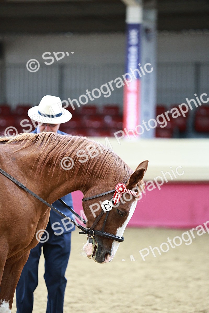 SBM_03037 - Class 5A - Area Ridden Veteran