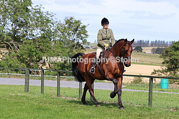 SIAL6954 - Ring 1 & 3