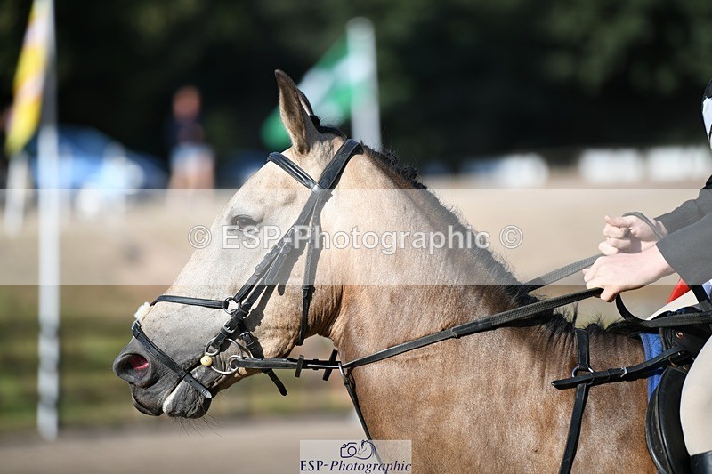 250822A-084719-18606 - NAF Round 1 Start to 9.10