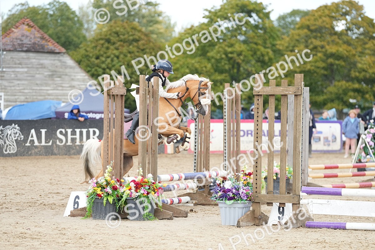 SBM_20723 - J49 - Open 50cm