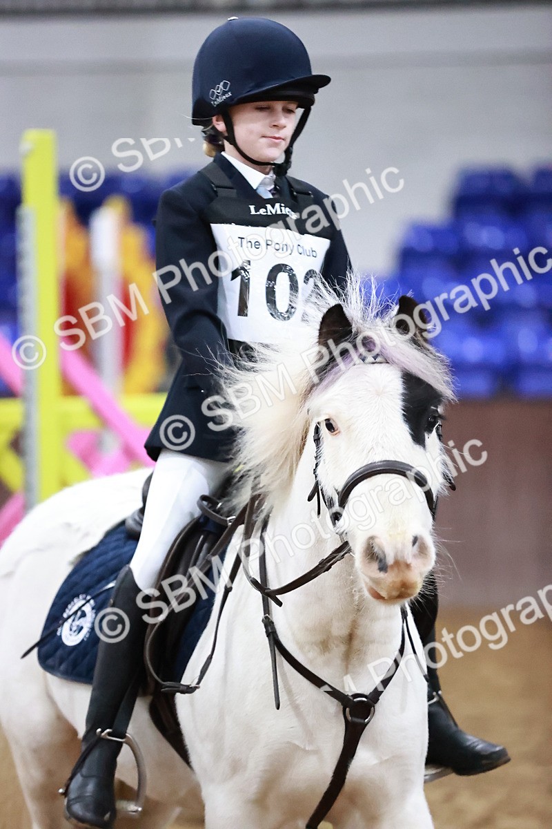 SBM_000020 - Class 1 - Cross Pole Jumping 30cm 40cm