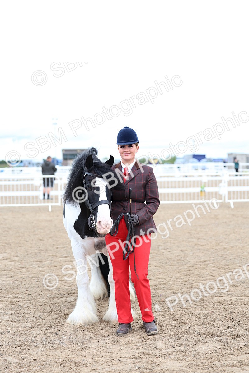 SBM_00335 - Class 15 - IH Coloured