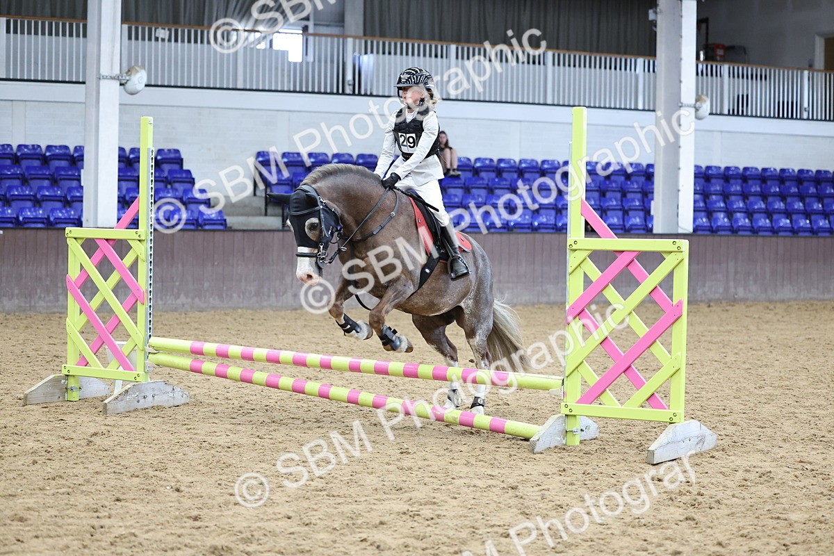 SBM_007334 - Class 2 - 50cm showjumping