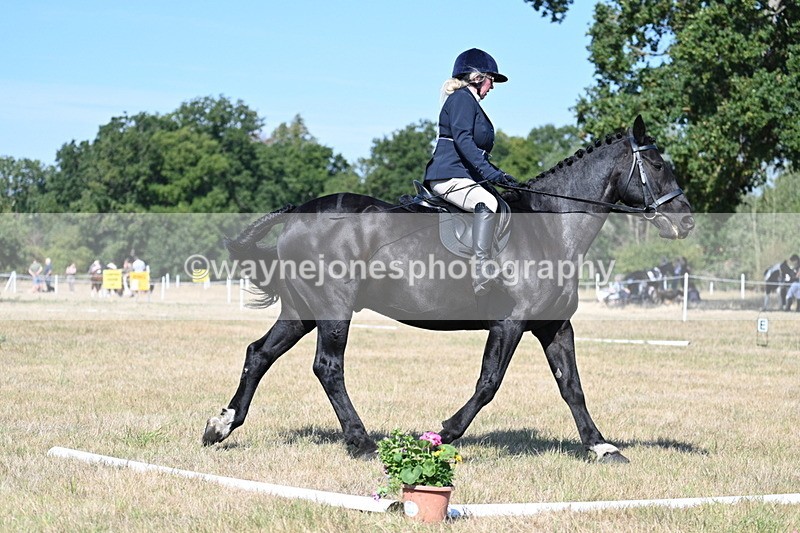 WJ7_9929 - Time 11:03 to 11:28