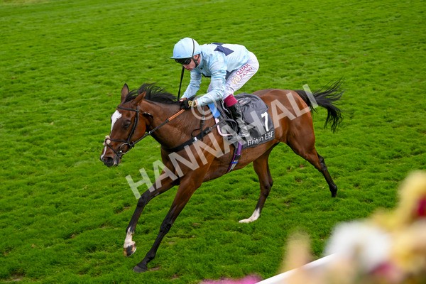 220824-Race 5-Scenic-7630 - Race 5 4.10pm British EBF & Sir Henry Cecil Galtres Stakes