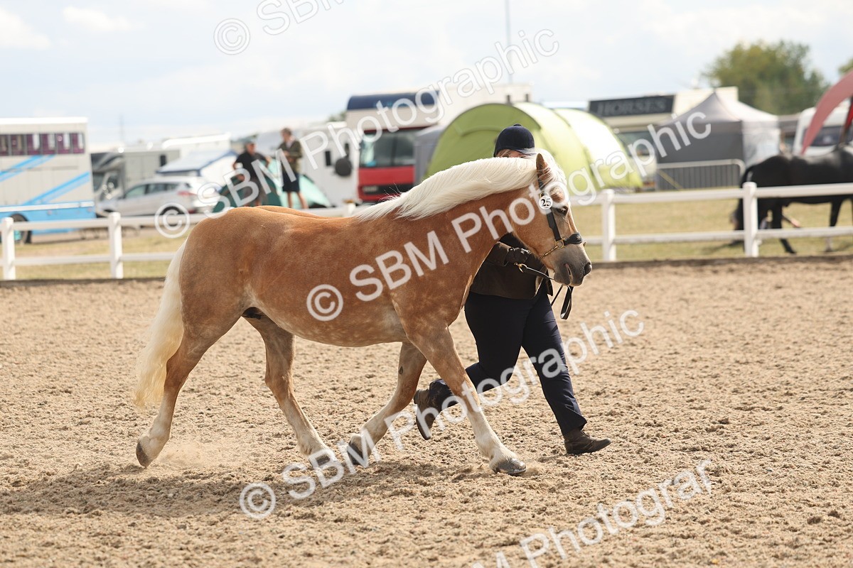 SBM_06884 - Class 25 - IH Foreign Breeds - Purebred