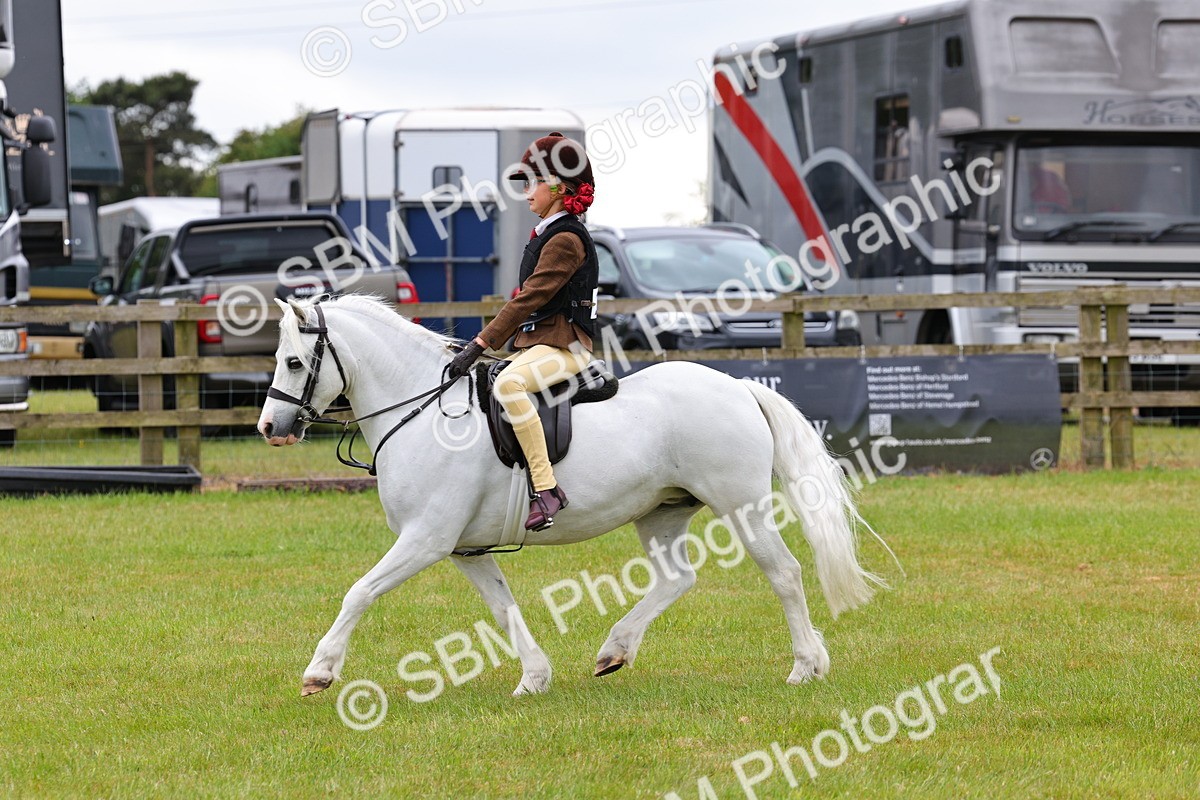 SBM_08718 - Class 42-43 - LIHS BSPS Heritage Working Sports Pony