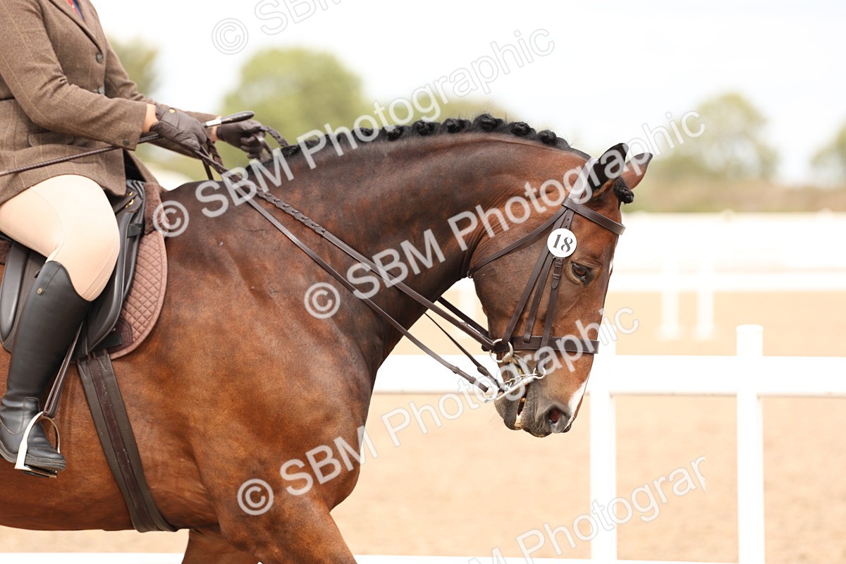 SBM_17177 - Class 213 - Ridden Hunter - Large