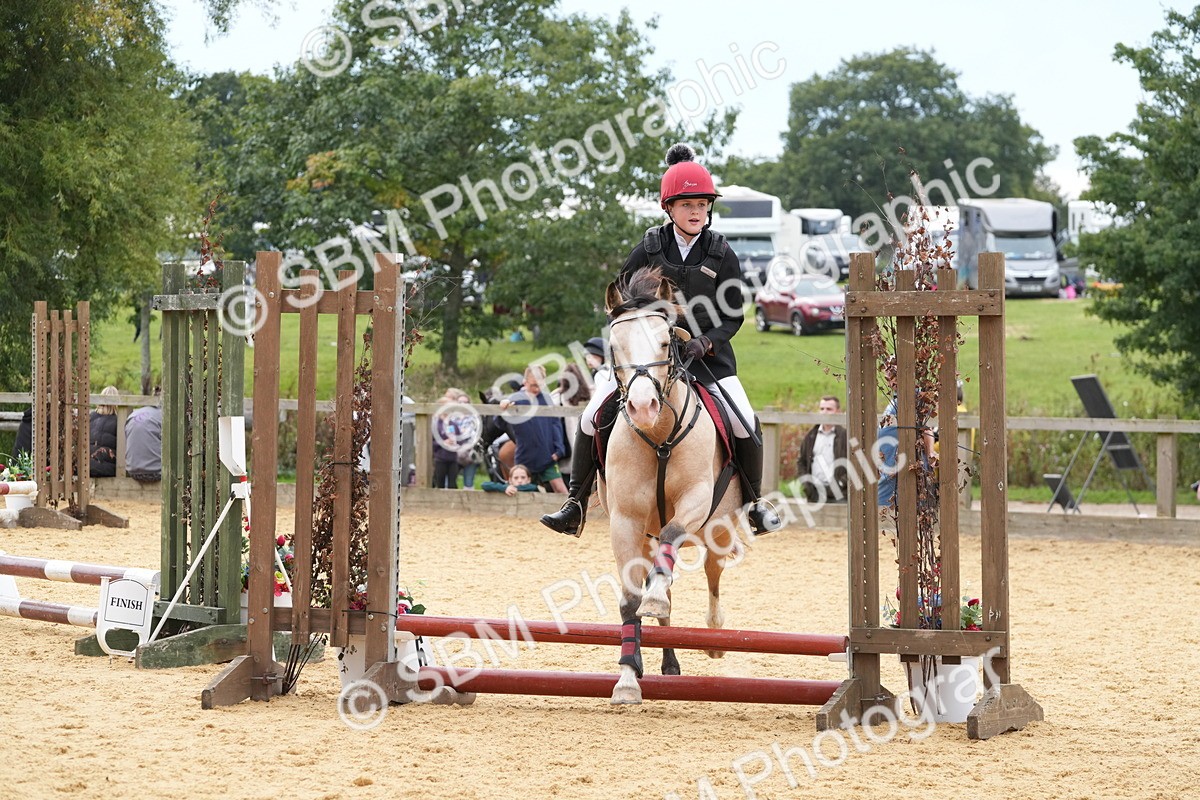 SBM_70710 - J3 - Mini Tour Junior Pony 40cm Championship