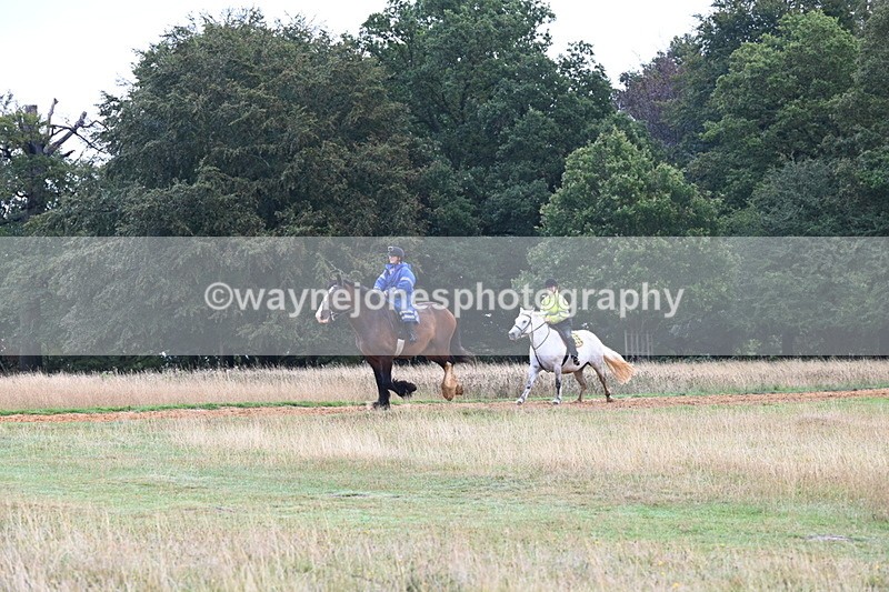 DSC_2243 - Time at Statue 12:34 to 12:56