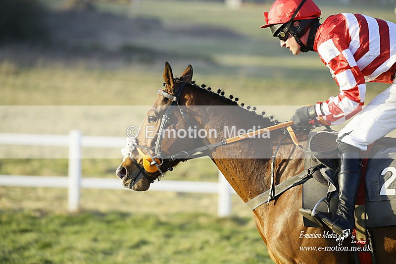 PtP 270222 739 - South & West Wilts Point-to-Point Larkhill 27/02/22