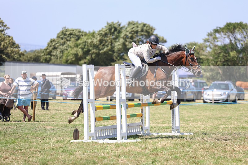 3E7A4352 - Class 10: Senior British Novice/90cm open