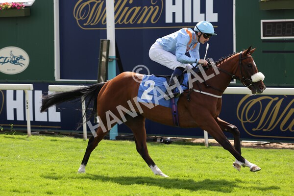 yr08072022r3-18 - Race 3 3.15pm William Hill Play Responsibly Irish EBF Novice Fillies Stakes