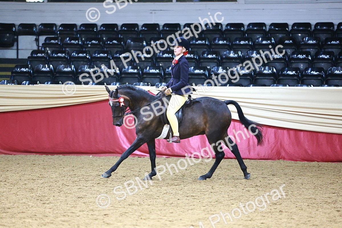 SBM_23349 - Class 904 - Supreme Final - Ridden Diamond