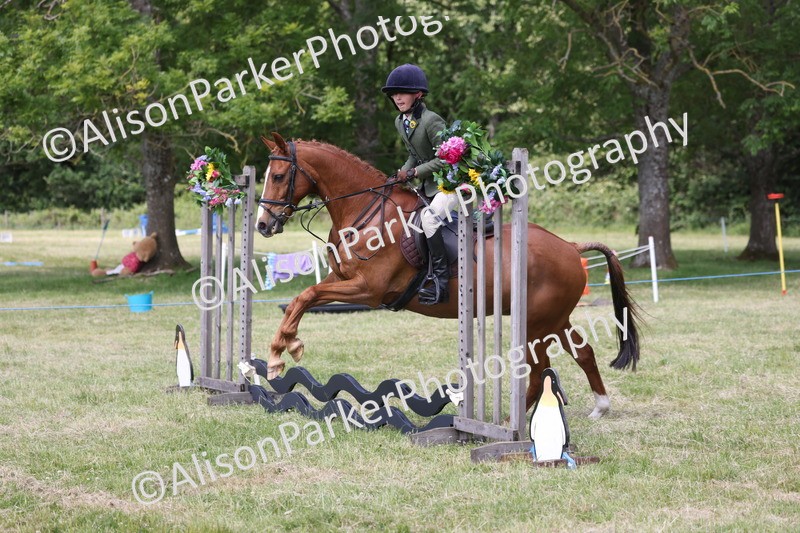20260614-1857 - Class 21 - Novice Working Hunter Pony