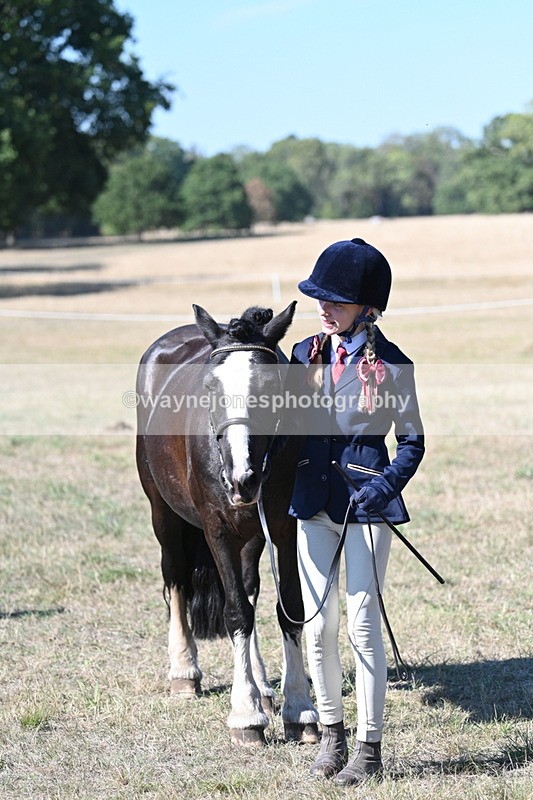 WJ7_1885 - Class 43 Best Six Legs (In hand)