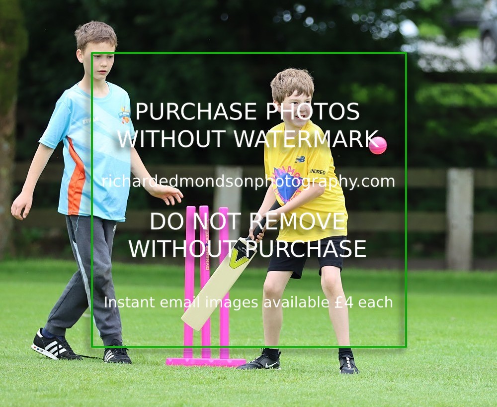 IMG_1231 - All Stars Cricket-Netherfield