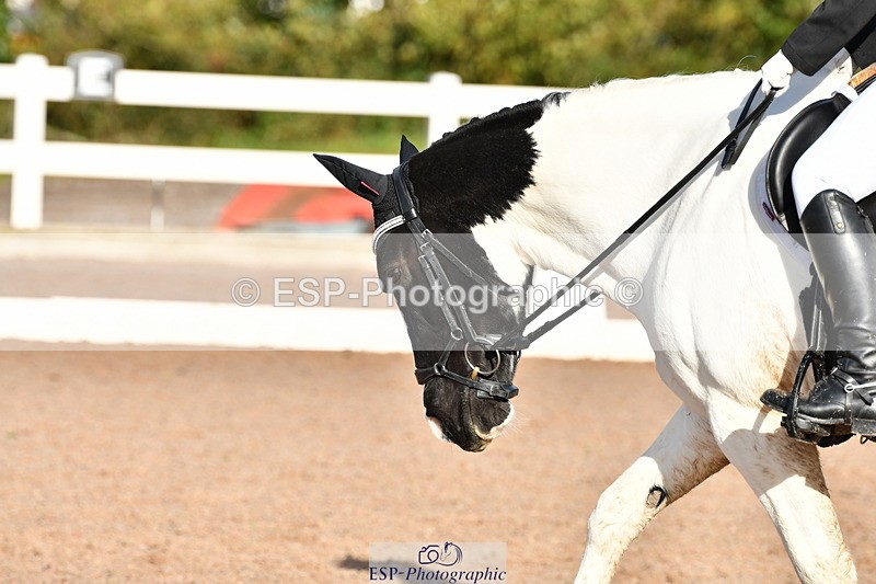 231104A-122113-00436 - Cls 7 Elementary 43