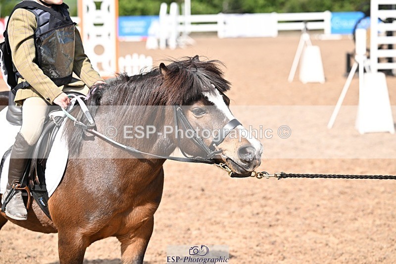 250517-103232-00748 - 40cm  LR