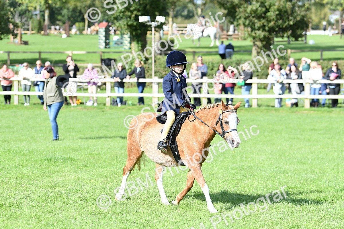 SBM_50277 - S21 - Novice & Newcomers 1st Ridden Pony
