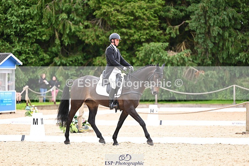 240524-093610-07910 - 507-DASSETT_ROCK_STAR-Tom_D_Crisp