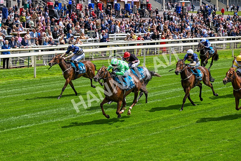 120626-Race 2-Everatease-6833 - Race 2 14.25pm Constant Security Keeping York Racegoers Safe Rous Selling Stakes