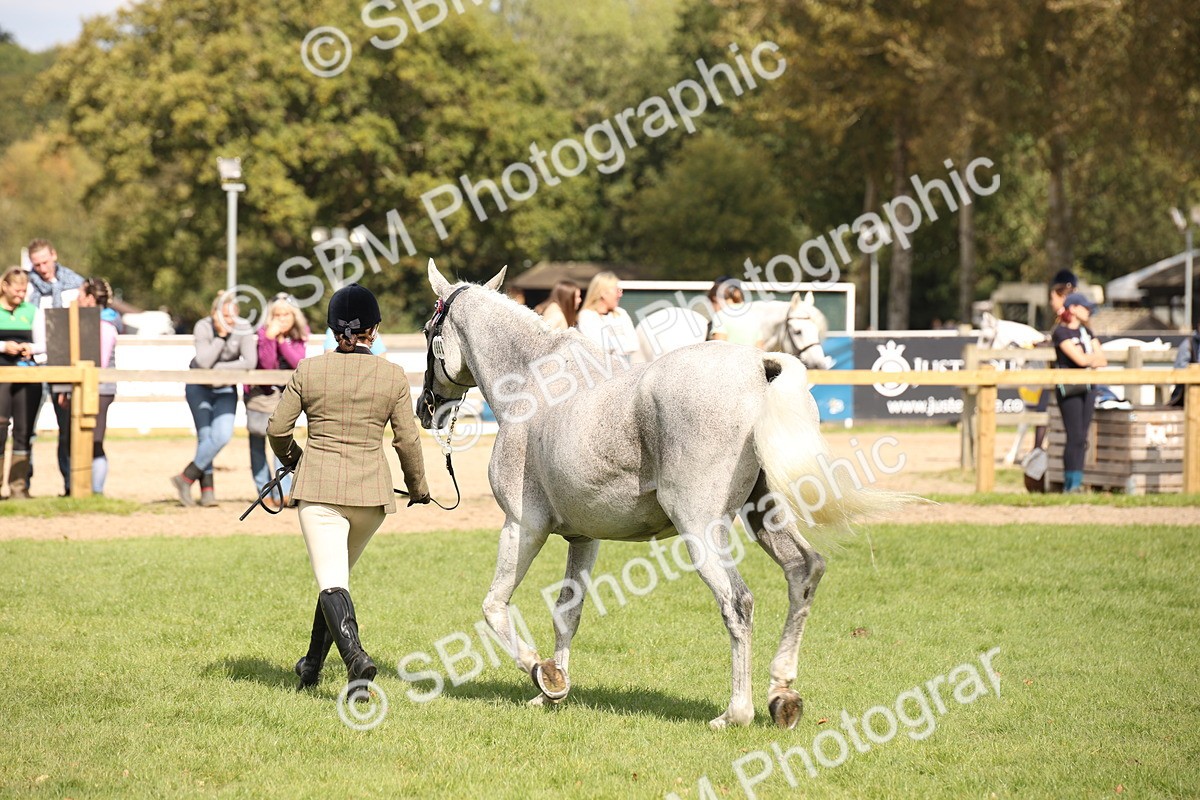 SBM_44494 - S24 - Young Veteran in hand