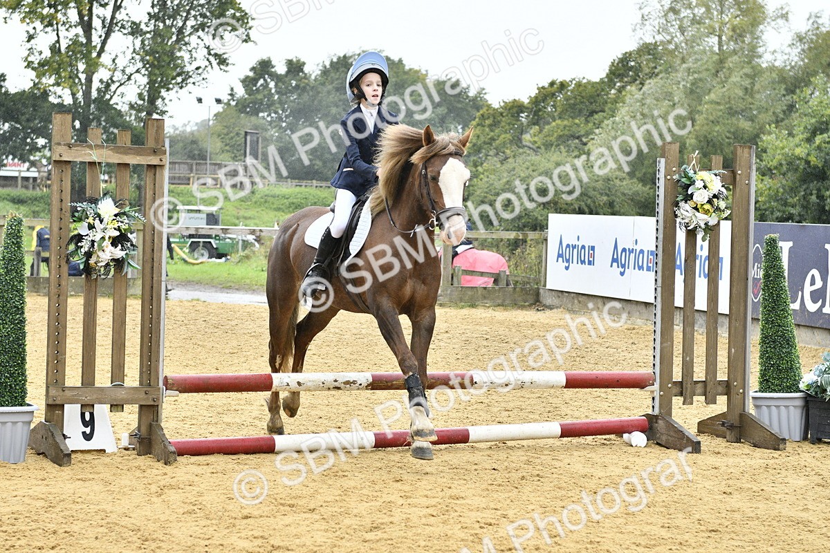 SBM_70892 - J3 - Mini Tour Junior Pony 40cm championship