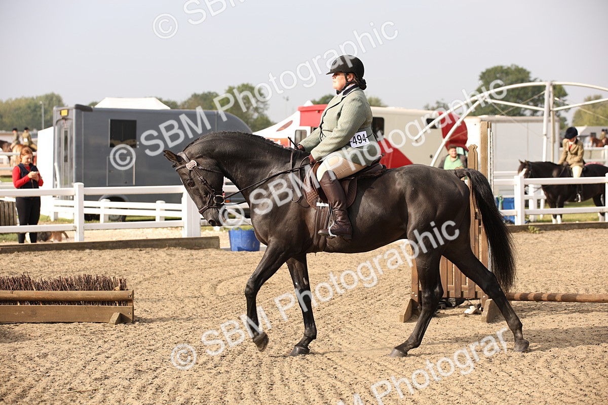 SBM_10231 - Class 402 Riding Club Horse