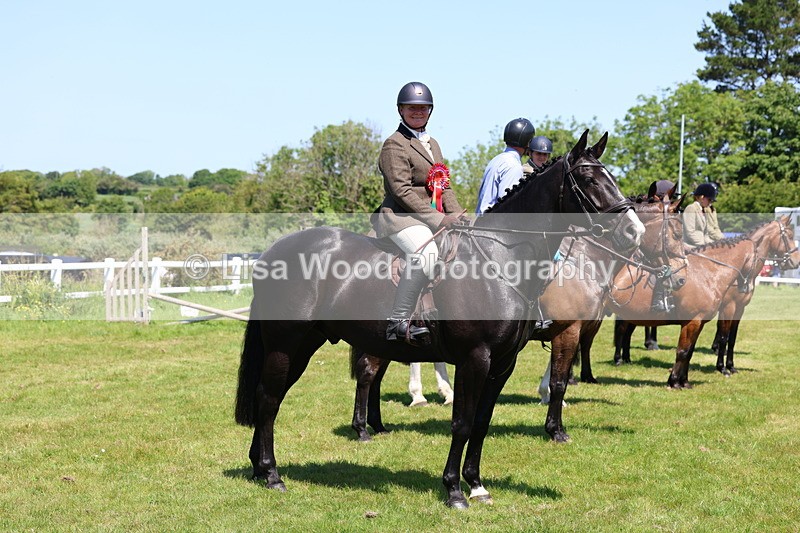 3E7A7391 - Class 30: Novice Working Hunter