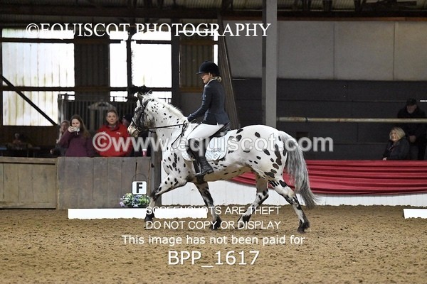 BPP_1617 - PC GRASSROOTS DRESSAGE