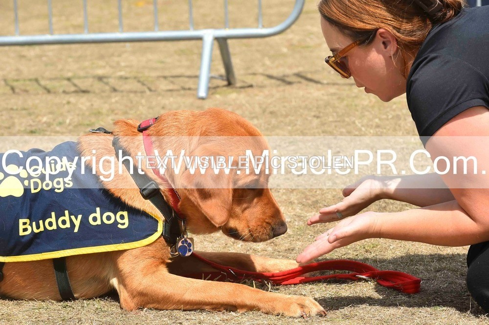 SH4_0248 - Dog show.
