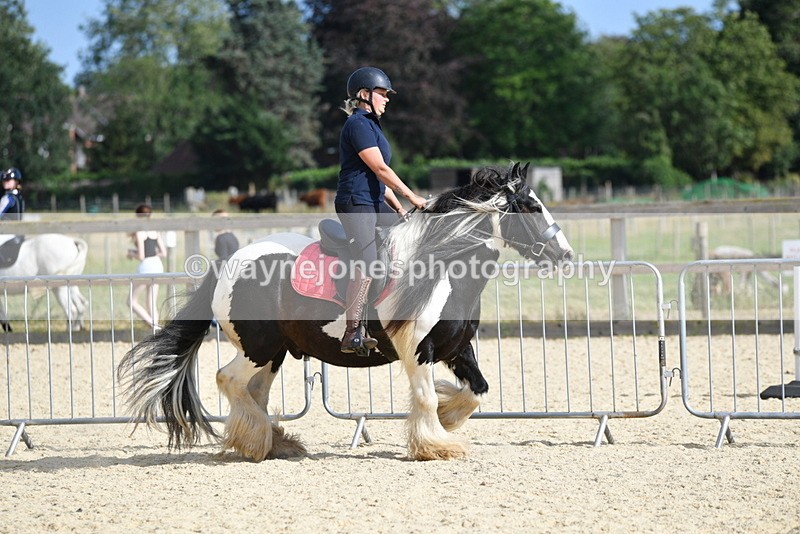 WJ5_5757 - Poles off the floor