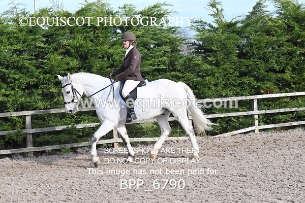 BPP_6790 - RING 1  (RIDDEN HORSES / IN HAND / VETERAN ETC)