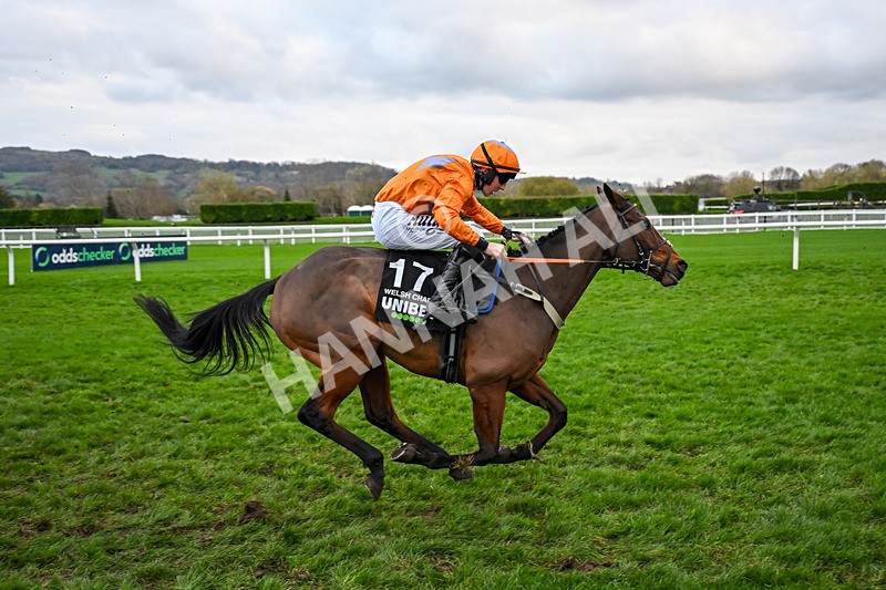 161125-Race 5-Welsh Charger-6404 - Race 5