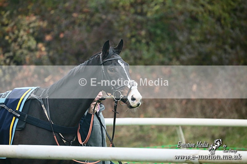 PtP 091124  225 - Knightwick Races Point-to-Point 09/11/24