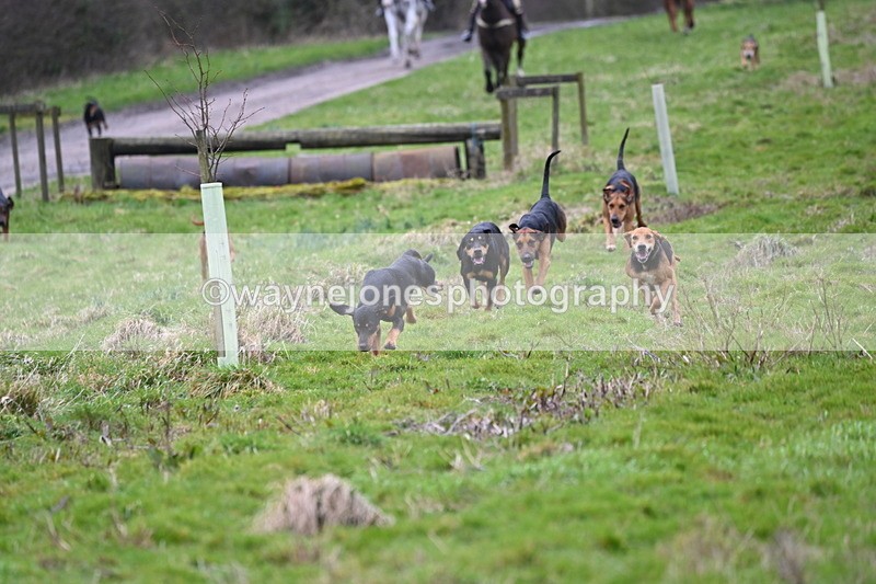 WJ6_8184 - Cam B