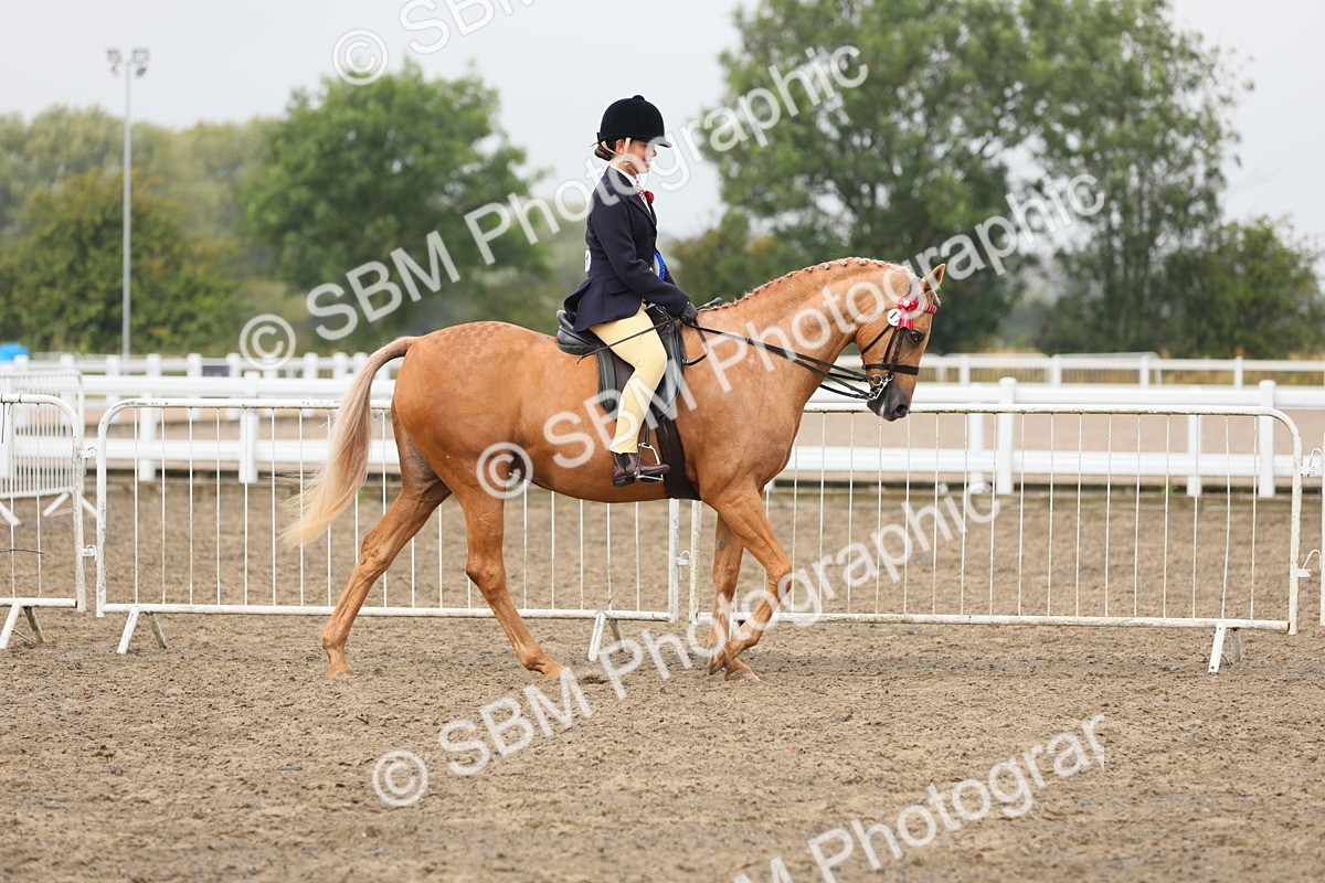 SBM_22427 - Young Rider Championship