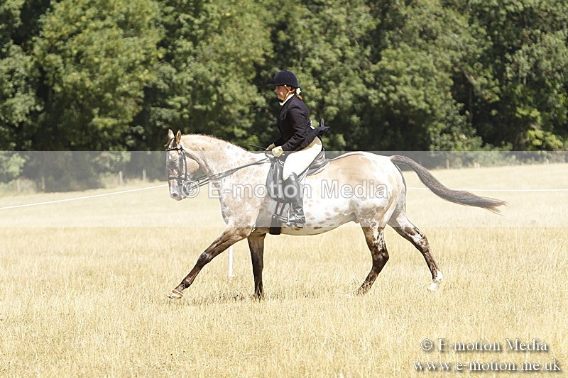 _BS_0762 - BVRC Show 2018 Ring 1