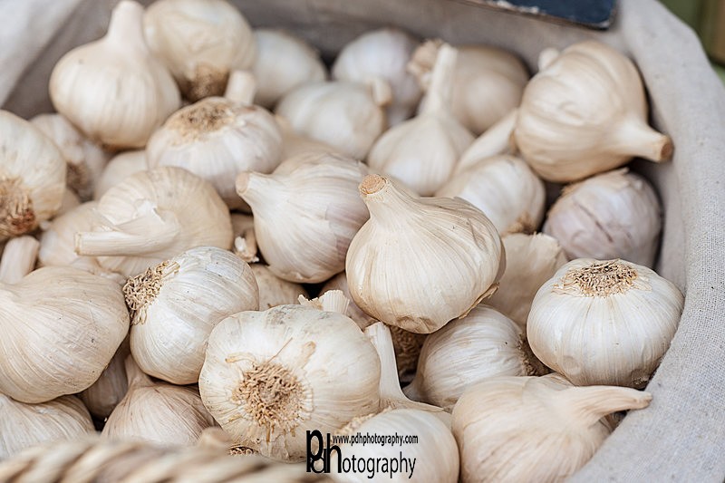 Garlic-IMG_5838 - Food