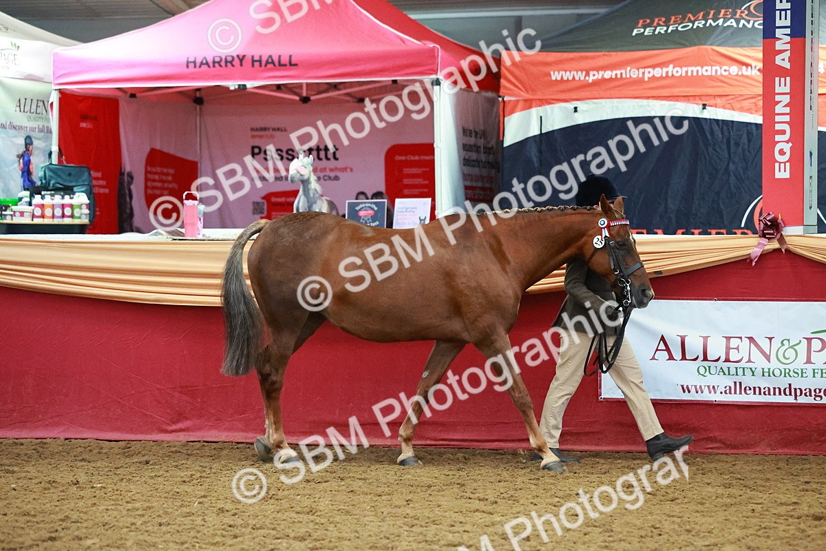 SBM_15973 - Class 901 - Sup Final - IH Diamond