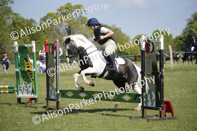 20250427-2232 - Class 13 - Novice Jumping 60cm