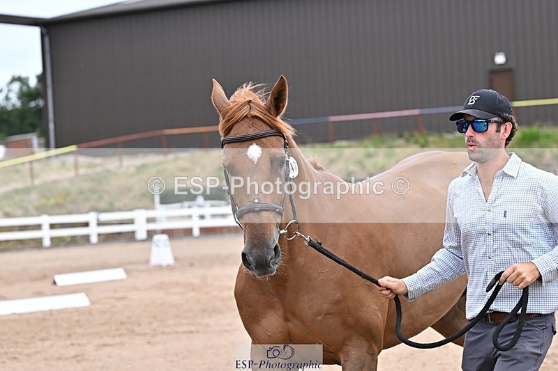 250716-134158-00645 - Trot Up 1.30 to 2.30