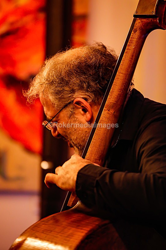 _56A6237 - Art Themen and friends at The Royal Oak Swindon