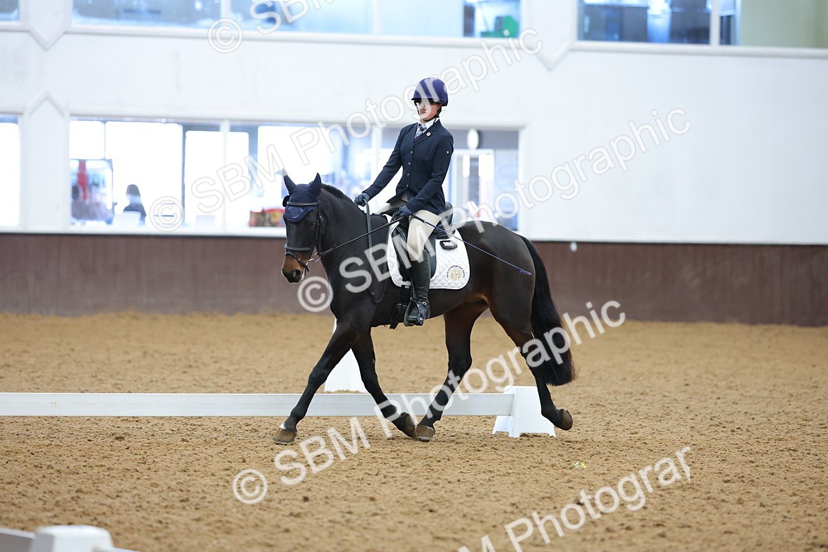 SBM_003110 - Novice