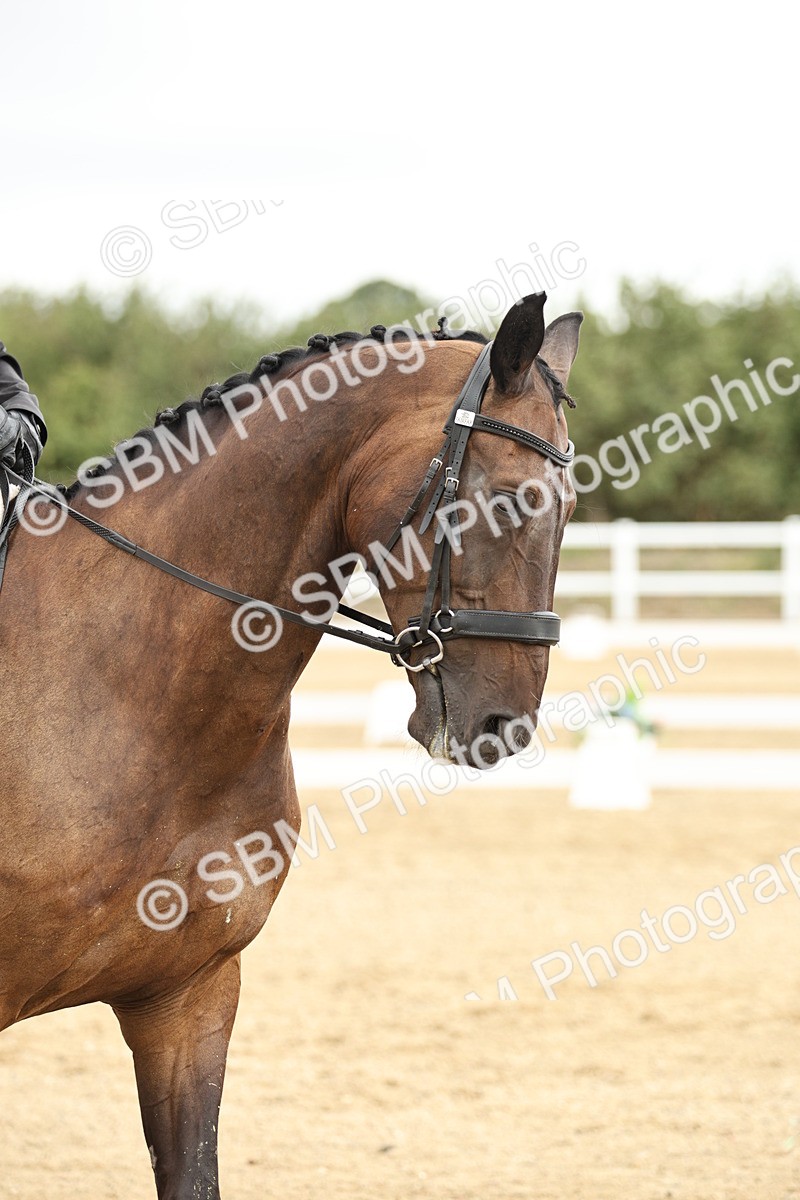 SBM_006942 - Class 21 - Medium 5 Bronze - 10.04-10.52