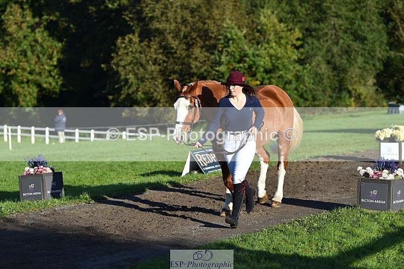 231022-094000-21956 - 499-GORFELYN.PETER.THE.GREAT-Charlotte.Bellamy-TrotUp+SJ