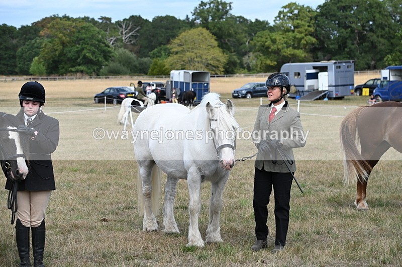 WJ6_6700 - Class 20 In-hand Cob