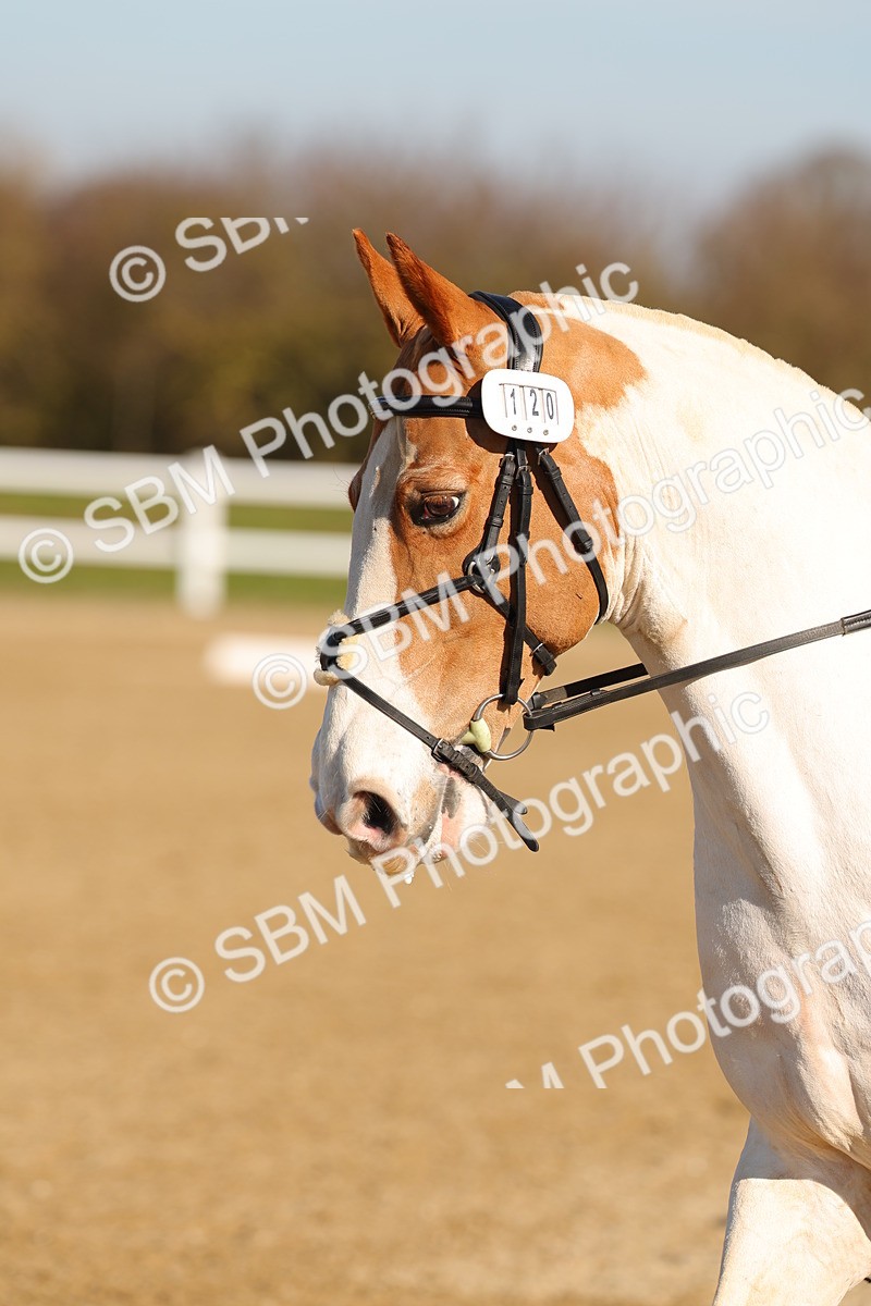 SBM_000804 - Class 1 - Intro 1